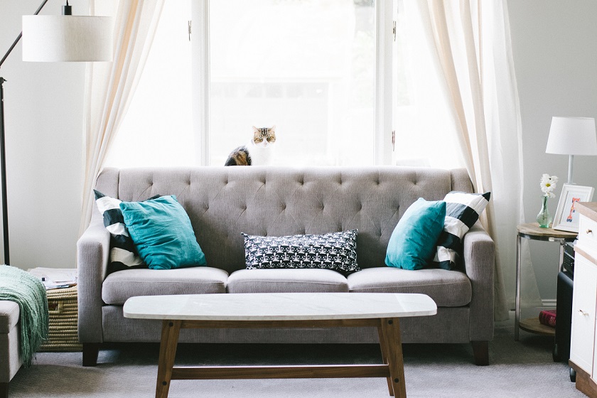 Leather Sofa VS Fabric Sofa | Which One You Should Buy?